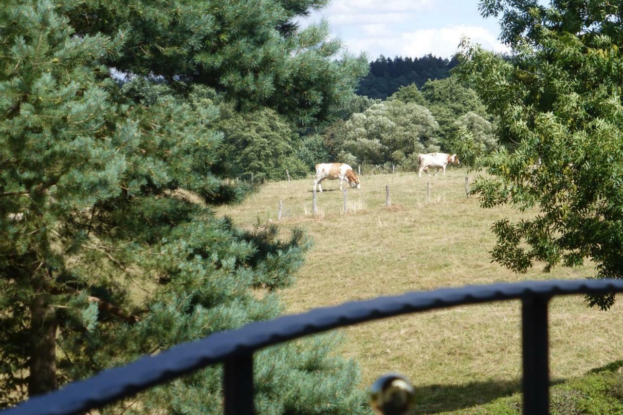 Ferienwohnung Am Groelisbach Roetgen Bagian luar foto